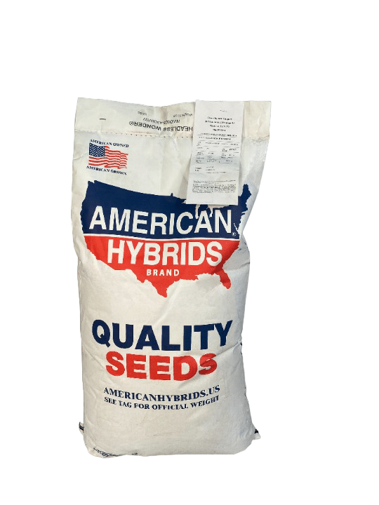 Headless Wonder™ PPS - Sorghum-Sudangrass Hybrid - Browning Seed